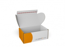 Karton DHL M | 340 x 210 x 140 mm